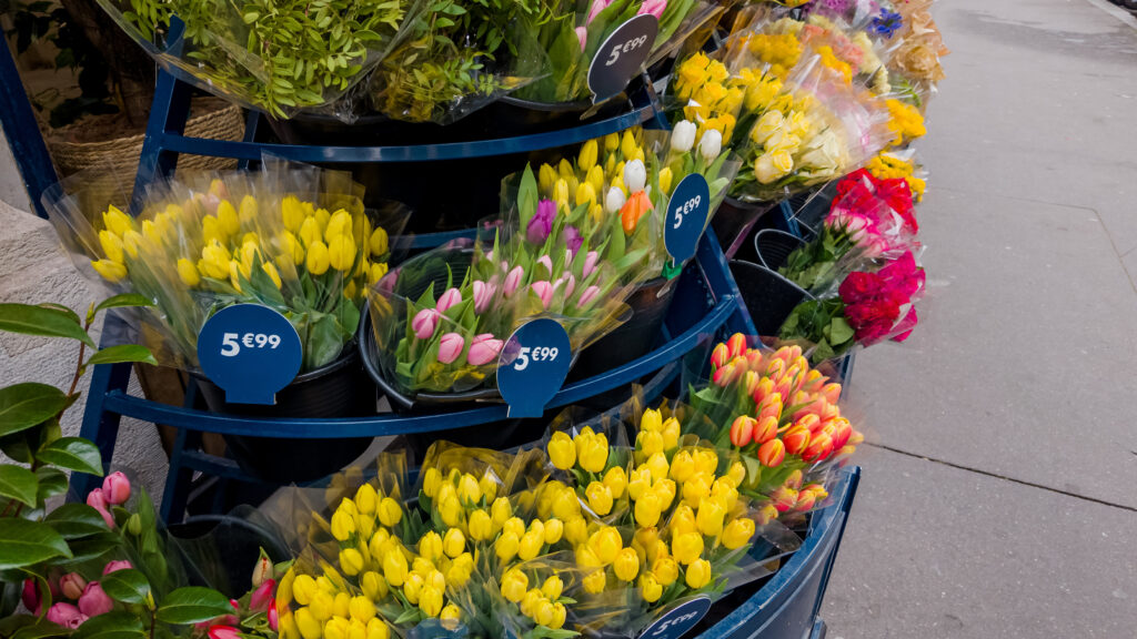 Vente de bouquets de tulipes colorées à prix affichés, illustration de la gestion des tarifs pour un fleuriste rentable.