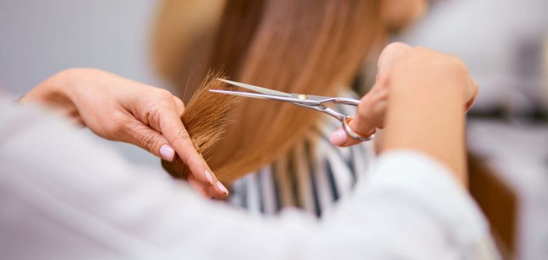 rear view on cropped careful hairdresser cutting off long hair of client with scissors, in beauty salon
