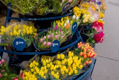 Vente de bouquets de tulipes colorées à prix affichés, illustration de la gestion des tarifs pour un fleuriste rentable.