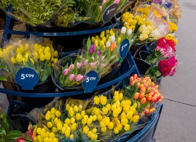 Vente de bouquets de tulipes colorées à prix affichés, illustration de la gestion des tarifs pour un fleuriste rentable.