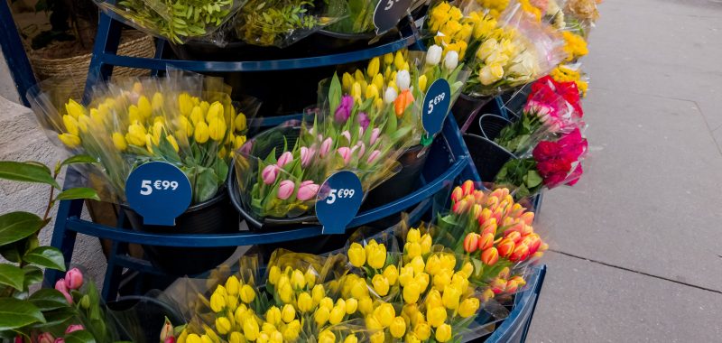 Fleuriste : calculer le bon prix pour rester rentable Vente de bouquets de tulipes colorées à prix affichés, illustration de la gestion des tarifs pour un fleuriste rentable.