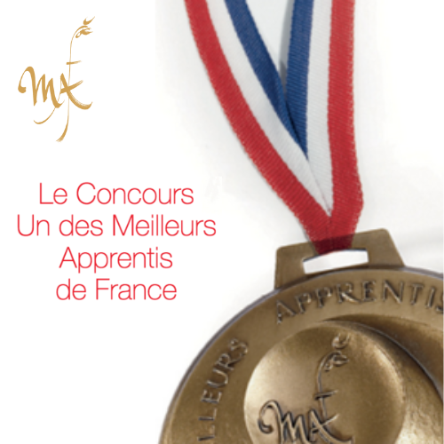 Médaille du concours Un des Meilleurs Apprentis de France