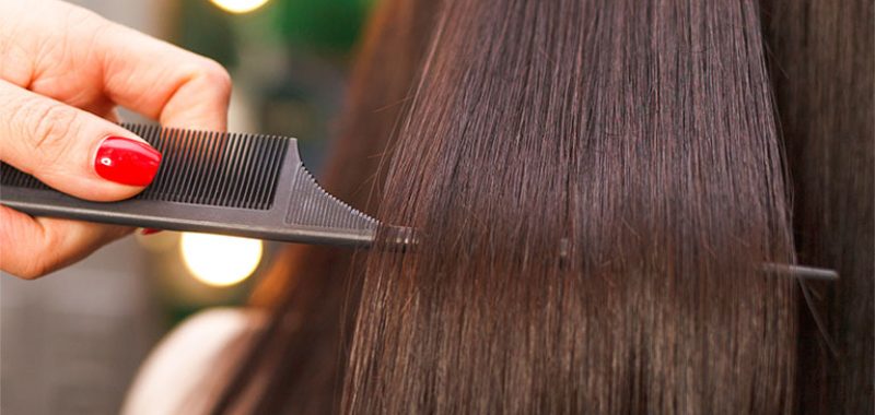 brown-to-brown brown-to-brown
