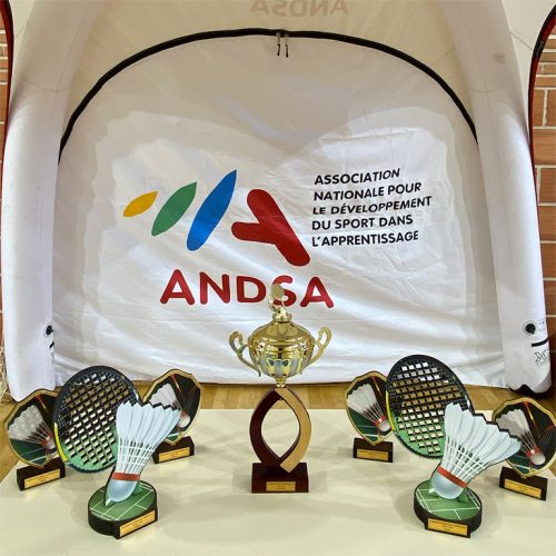 championnat badminton 2025