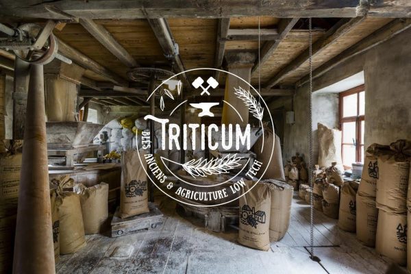 triticum-moulin-960w
